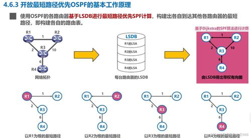 計算機網絡體系中的網絡層 計算機軟硬件與網絡技術開發的協同演進